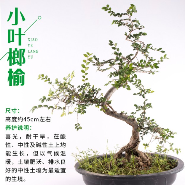 {5287A71C-4159-496C-B0E0-70F4246B2C52}_20190517085943.jpg {5287A71C-4159-496C-B0E0-70F4246B2C52}_20190517085943.jpg