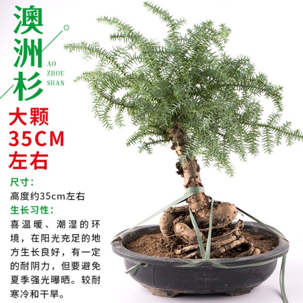 {13C91638-8706-4C2B-A051-E10C3936F65F}_20190517091120.jpg {13C91638-8706-4C2B-A051-E10C3936F65F}_20190517091120.jpg